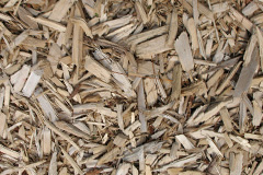 biomass boilers Moorgreen